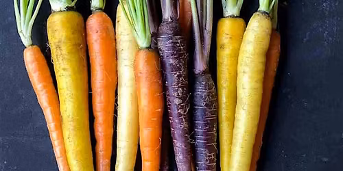 Harvest Feast: An Indigenous Culinary Experience