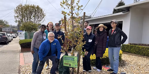 Community Tree Planting