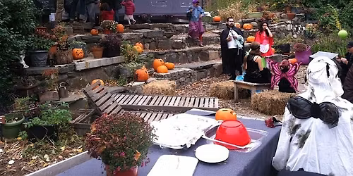 Halloween All Day Party