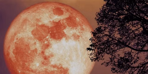 Full Moon Gathering and Fire Ceremony