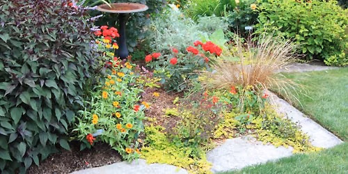 Planning & Planting For a Sustainable Landscape