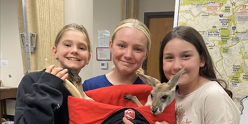 Jingle Bells and Joeys: A Holiday Experience at The Kangaroo Ranch Studio