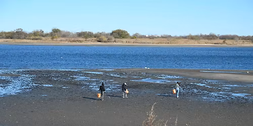 Give Thanks with Service Shoreline Cleanup
