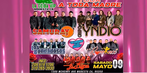 TOUR A TODA MADRE - MODESTO