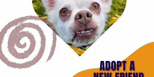 Niagara SPCA Adoption Event