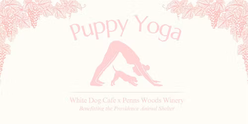 Puppy Yoga at Pennswoods Winery + Brunch at White Dog