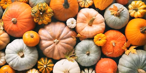 Fall Harvest Market at Morgan\u2019s Market
