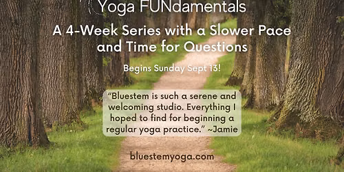 Yoga FUNdamentals: 4-Week Series (1st of 4 Classes)