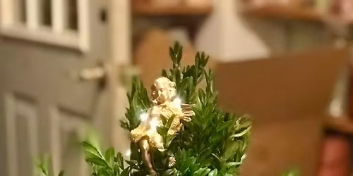 DIY Holiday Tabletop Boxwood Tree Workshop at the Lost Shoe Brewing and Roasting Company