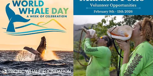 M\u0101lama Pono Service Project - Volunteer Opportinities - World Whale Day