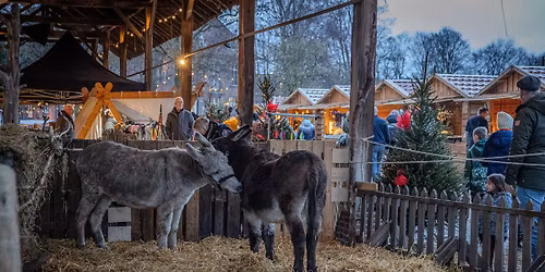 Weihnachtsmarkt 2025 - Kloster Graefenthal