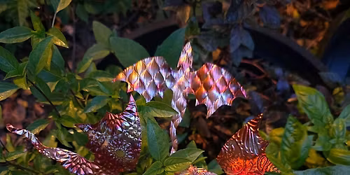 Copper class - Garden Dragon at The Vineyard at Hershey