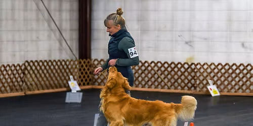 Rally Obedience - Novice