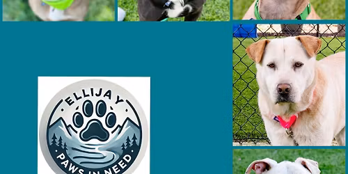 3rd Annual Chili Cookoff