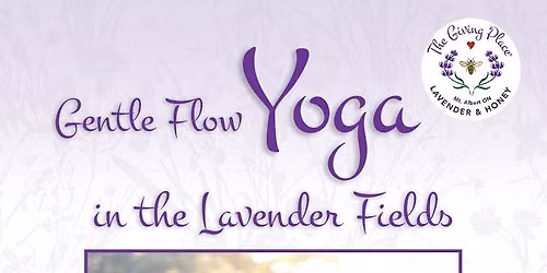 Gentle Flow Yoga in The Lavender Fields 