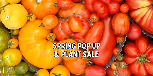 Green Haven Gardens Spring Pop Up