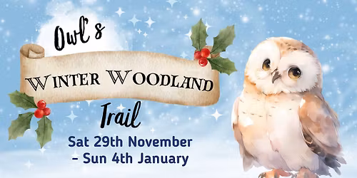 Owl's Winter Woodland Trail at Queen Elizabeth Country Park