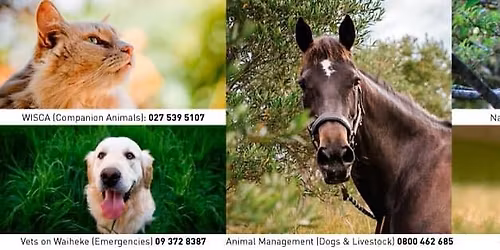 All roads lead to music