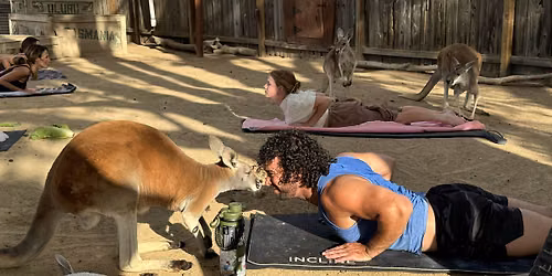 Kangaroo Yoga