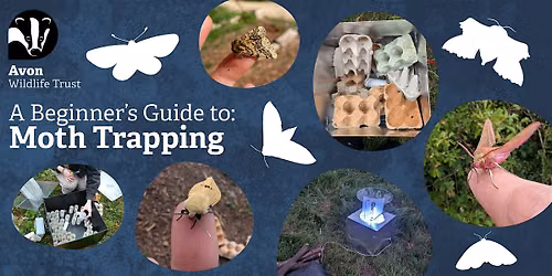 Youth Event: A Beginner's Guide to Moth Trapping