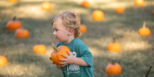 Harvest Moon Fall Festival