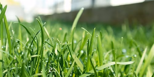 GREEN GTBOP Webinar Series - Thursday, November 13, 2025