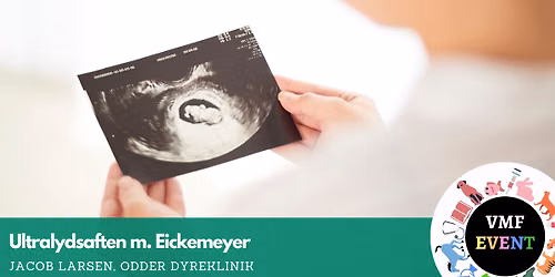Ultralydsaften m. Eickemeyer