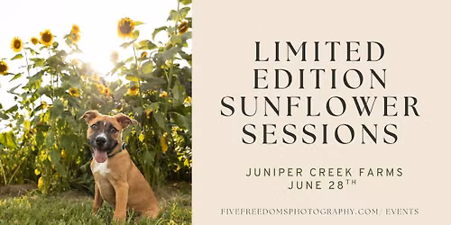 Limited Edition Sunflower Sessions
