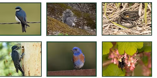 Forest Wildlife Research Summit