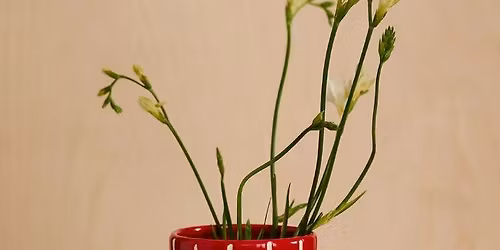 Het Makerscollectief: Tegelvaasjes met de Materialenbank