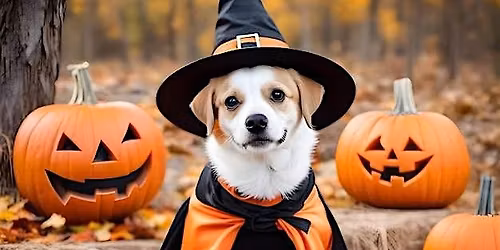 Hawl-o-ween Portraits