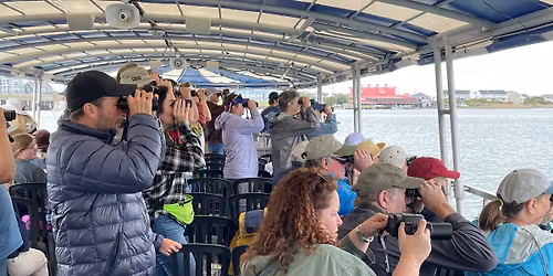 Shorebird Explorer Cruise