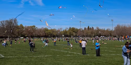 Kite Day