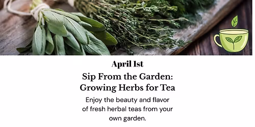 Thyme & Trowel Garden Class: Growing Herbs for Tea