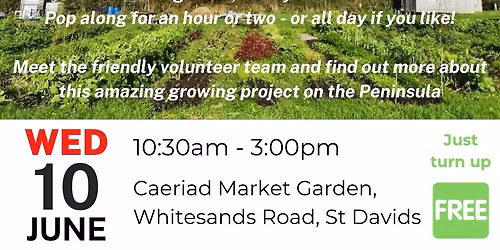 Caeriad Market Garden Volunteering Day