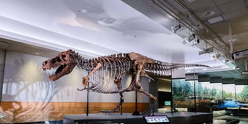 EDUCATORS: Summer Institute 2026 \u2013 Interpreting Prehistoric Worlds: Fossils, Art, and Inquiry