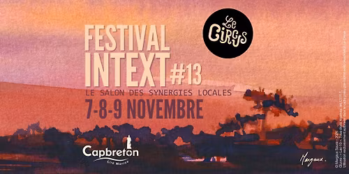 Festival Intext #13