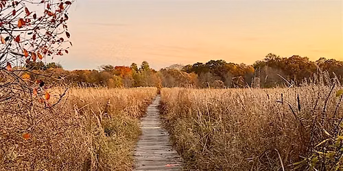 Cutler Park Boardwalk Restoration - SE Mass NEMBA Trail Care Day '26