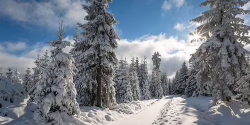 Poslední socializační procházka v roce 2025 