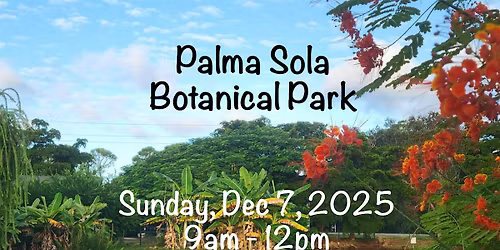 Painting & a Picnic - Palma Sola Botanical Gardens