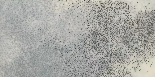 Drawing: Mark-Making as Meditative Practice (Creative Class)