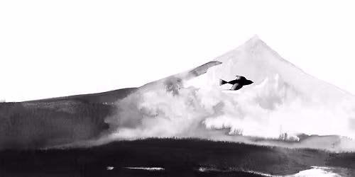 Behind the Scenes of WildKind with Dog Ears