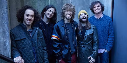 Dogs In A Pile (21+)