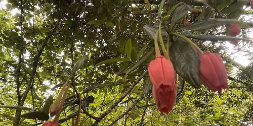 May Flowers Candlelit Yoga and Soundbath Session