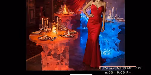 WCR Sparks & Crystal: Fire & Ice Gala \u2013   Shining a light on leadership