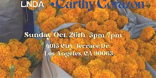 A MARIGOLD EXPERIENCE