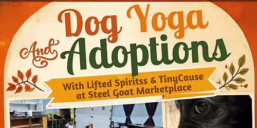 Dog Yoga & Adoptions