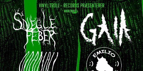 En tung aften med Vinyltroll - records venner .