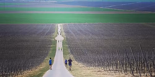 BANOVO BRDO VERTICAL (SUNSET EDITION)