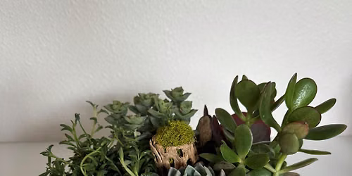 "Plant & Sip" By Heddy Salerno